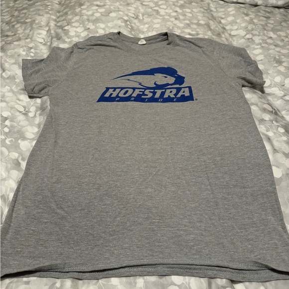 Gildan Softstyle Hofstra Tee. Grey. Size M. Used. - Picture 4 of 4